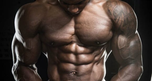 Internal Obliques | The Best Exercises To Train Them