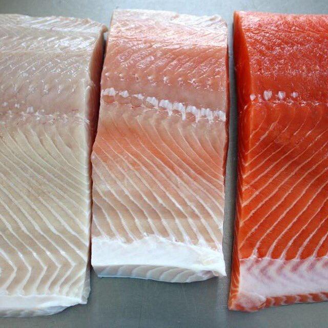 Not just meat, synthetic fish too