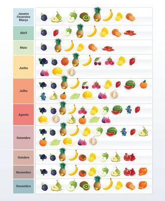 Principais frutas de maio: morangos e cerejas