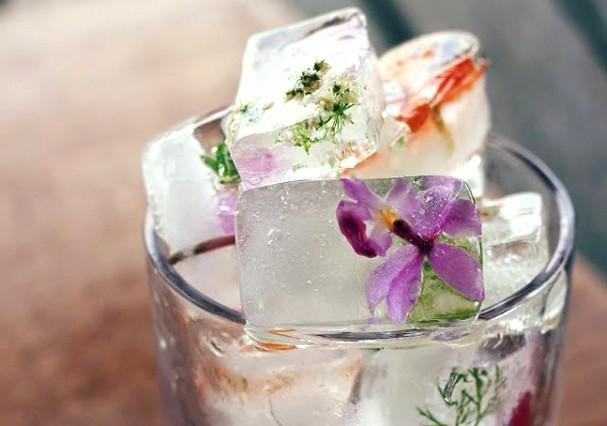 Ice with flowers, fruit and herbs
