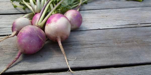 Black turnip, properties and benefits