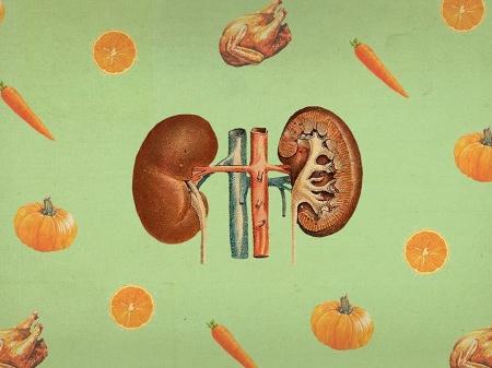 10 best kidney foods