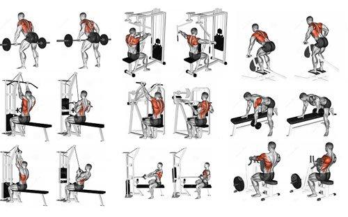 Dumbbell Exercises to Strengthen the Back Muscles