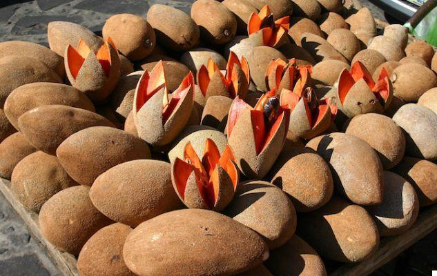 Mamey sapote: origins, benefits and how to eat it