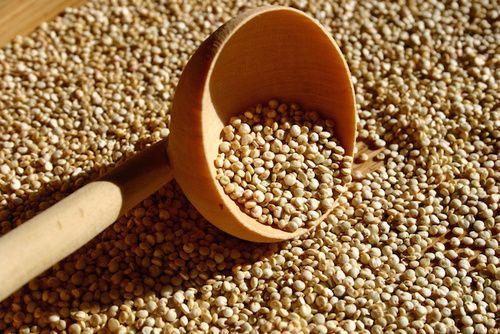Quinoa flour, properties and use
