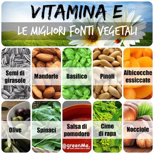 Vitamina E: as 10 melhores fontes vegetais