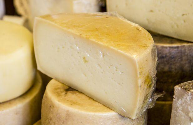 Malga cheeses: what they are and how to choose them