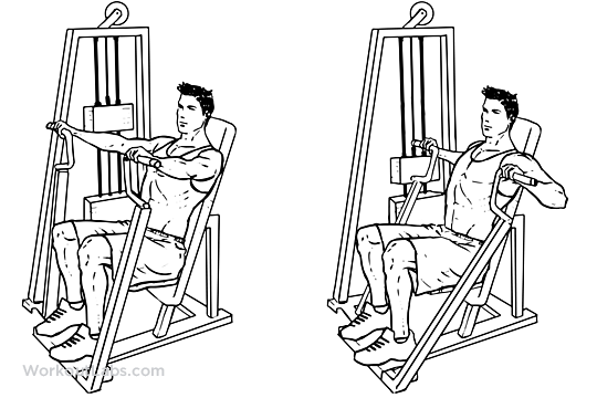 Chest Press correct execution and variations