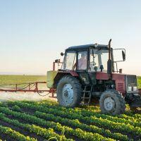 Pesticides : la nourriture européenne est sûre