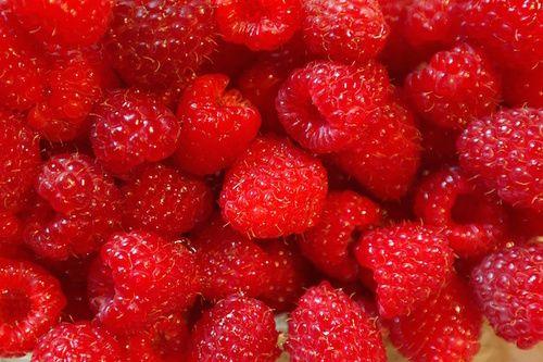 Raspberries: properties, nutritional values, calories