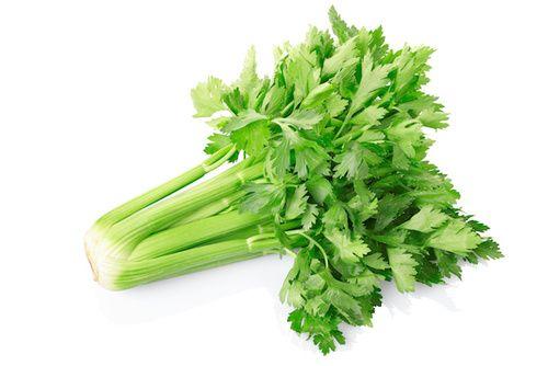 Celery: properties, nutritional values, calories