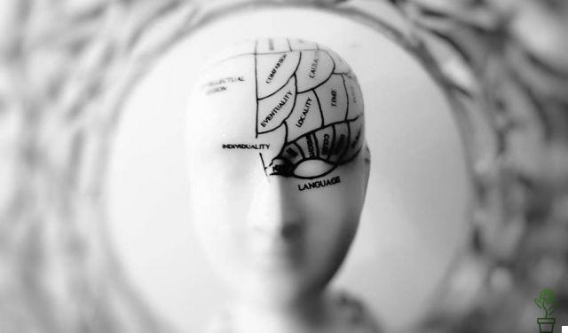 Treinamento cerebral: ficando mais inteligente, você pode?