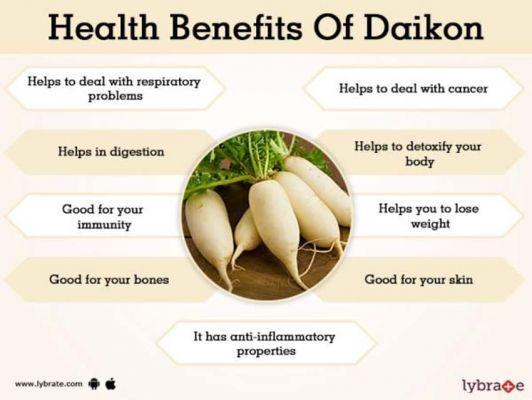 Los beneficios del daikon