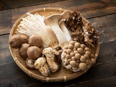 Mushrooms, the properties of a remineralizing food