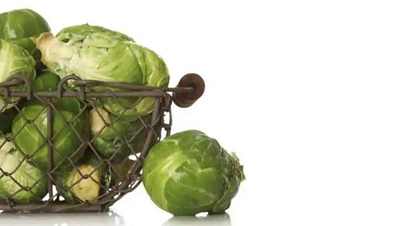 Brussels sprout, a precious antioxidant