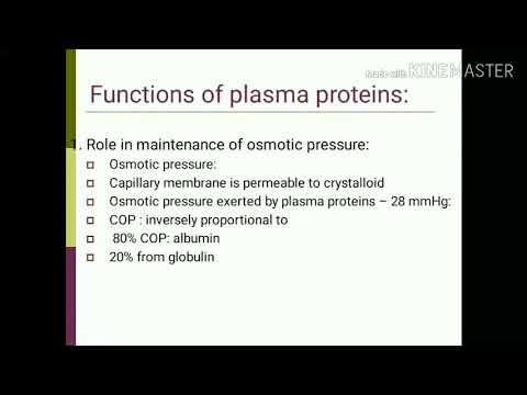 Fonctions des protéines plasmatiques