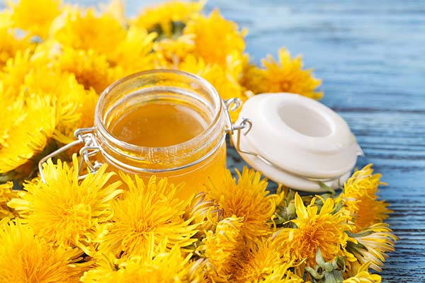 Mel de dente de leão: como preparar a alternativa vegana ao mel em casa