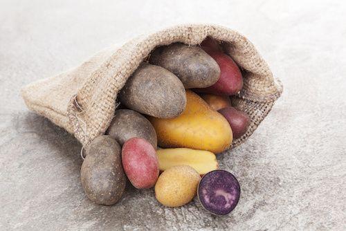 Potato starch: description, properties, benefits