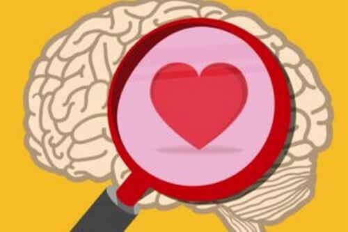 Inteligência emocional prática: ocitocina vs cortisol