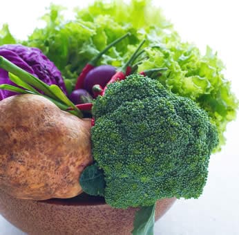 Nutrition and Cancer: Is There a Diet Against Cancer?