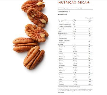 Noz brasileira: propriedades e características nutricionais