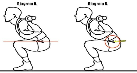 Box Squat | How is it done? What You Always Wanted To Know