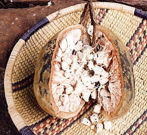 Baobab: propiedades, beneficios, como comer