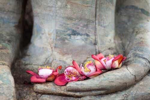 Les piliers de l'amour selon le bouddhisme