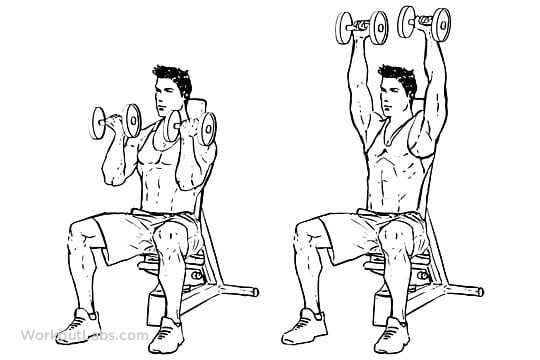 Military press dumbbells correct execution and variants