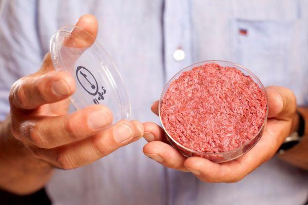 Alternatives to meat: synthetic meat is on its way