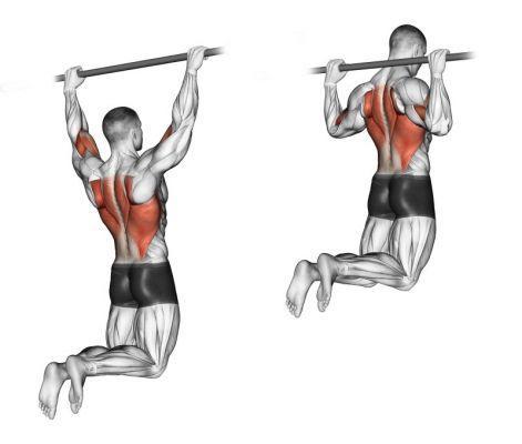 Pull-ups with prone back grip