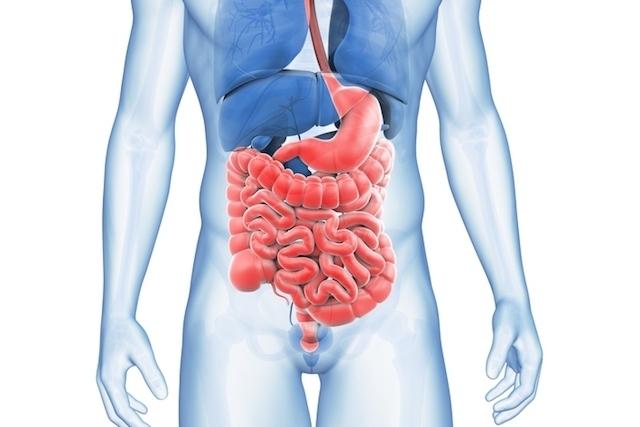 Nervous colitis: what to eat?
