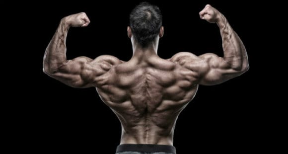 Strengthen the Back? | The Exercises That Can't Miss In Your Card