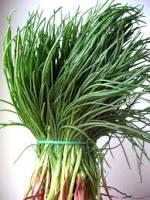 Agretti: properties and benefits