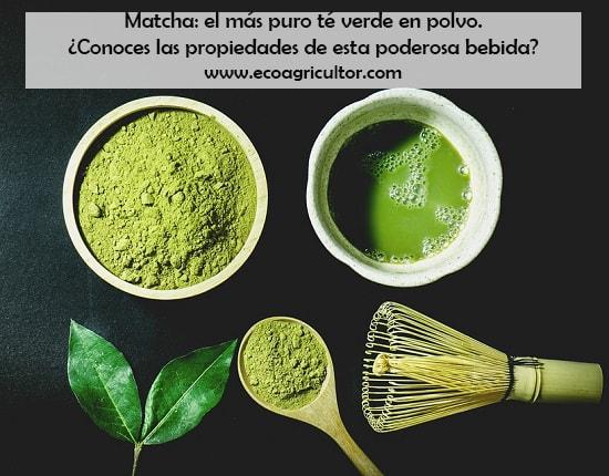 Matcha tea, how to choose it