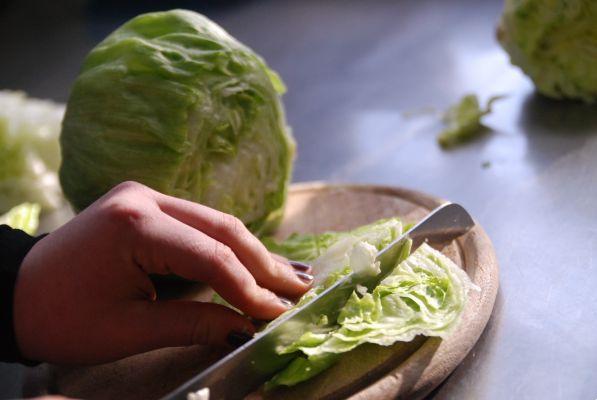 Chinese cabbage, properties and benefits