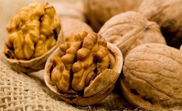 Moluccan nuts: characteristics and properties