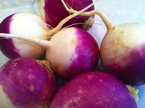 Turnip: properties, nutritional values, calories