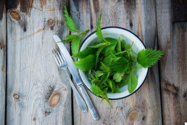 5 wild herbs to collect and cook