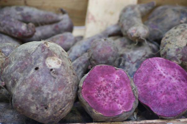Pommes de terre violettes, propriétés et avantages