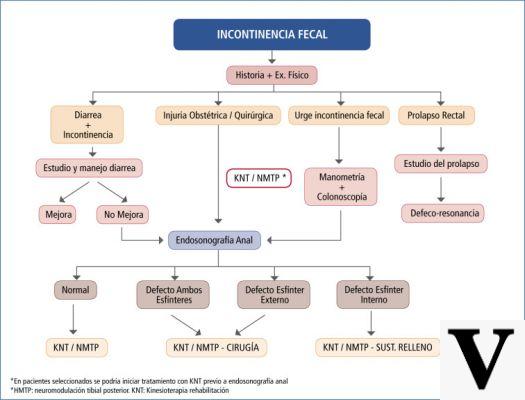 Incontinencia fecal: tratamiento, intervenciones y dieta