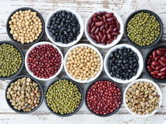Legume proteins: what is there to know?