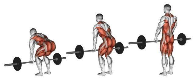 Deadlifts with barbell