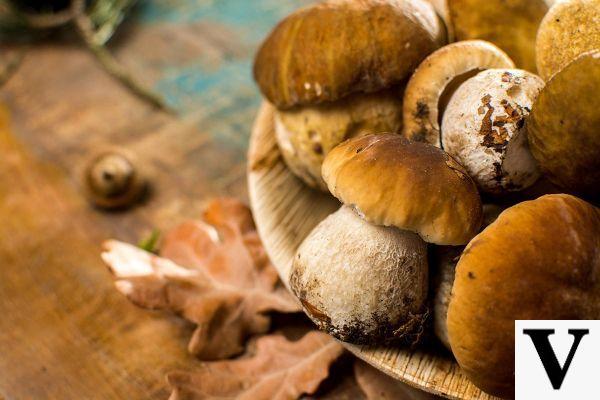 Mushrooms: a concentrate of virtues