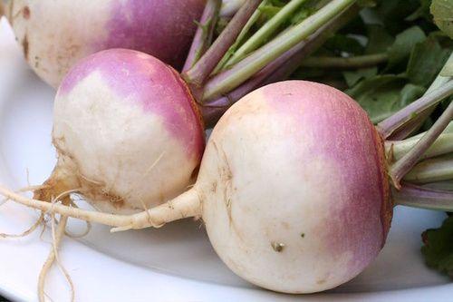 Turnip: description, properties, benefits
