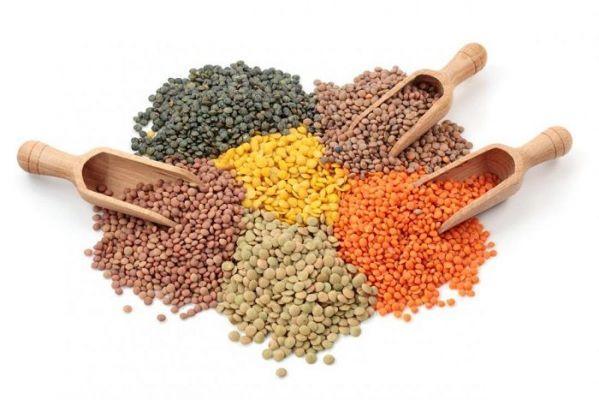 15 varieties of lentils, characteristics and origin