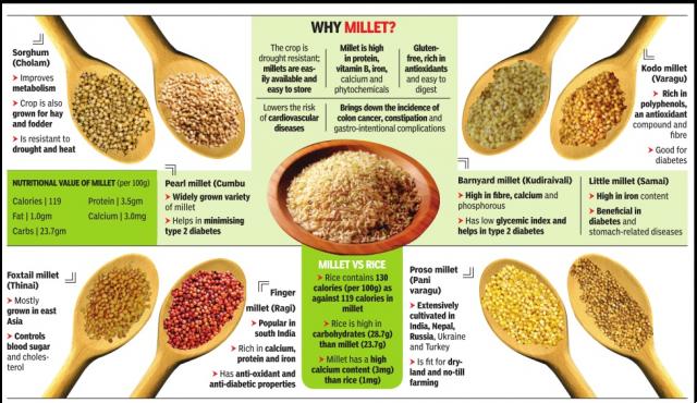 Millet, ten reasons to eat it