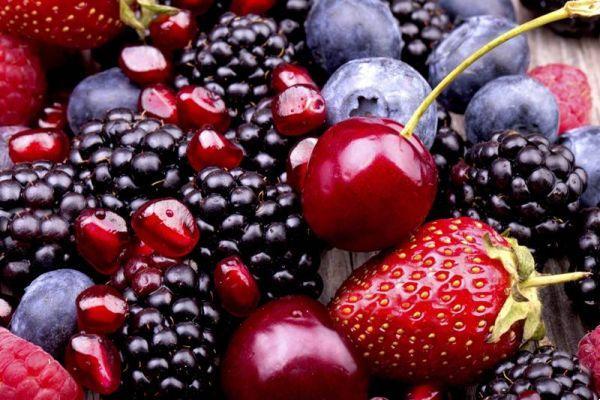 Polyphenols: what they are and where they are found