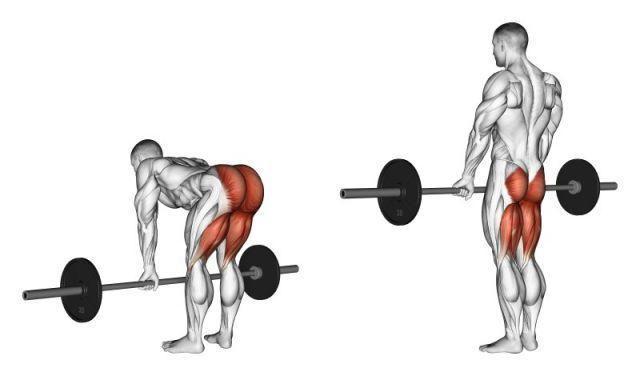 Deadlifts with a straight-legged barbell