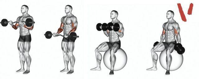 Training arms with dumbbells: 6 effective exercises
